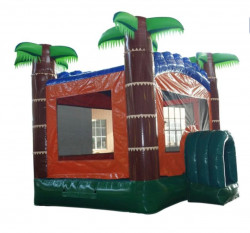 Screenshot 20220630 203606 Chrome 1656636603 Jumbo Tropical Bounce House 15